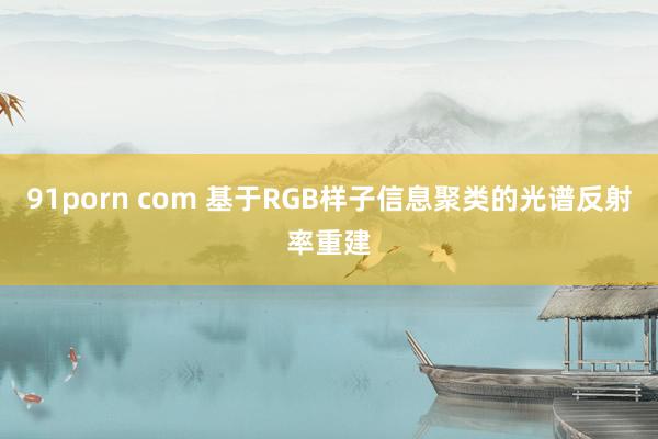 91porn com 基于RGB样子信息聚类的光谱反射率重建