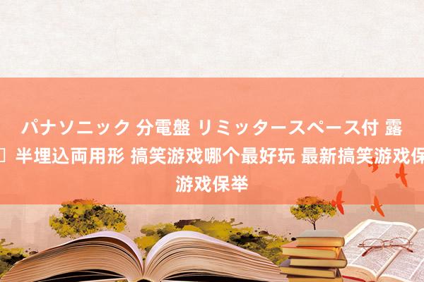 パナソニック 分電盤 リミッタースペース付 露出・半埋込両用形 搞笑游戏哪个最好玩 最新搞笑游戏保举