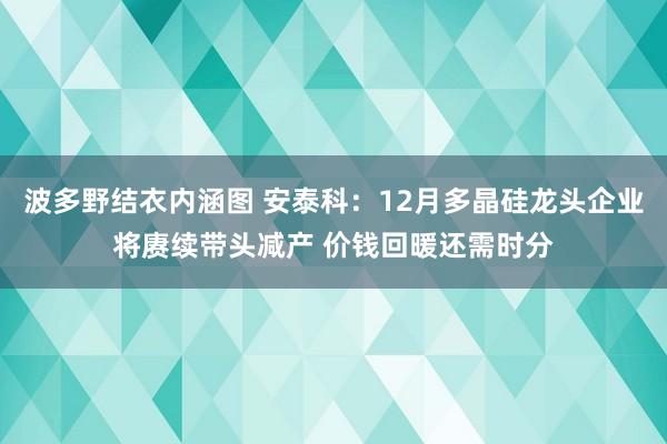 波多野结衣内涵图 安泰科：12月多晶硅龙头企业将赓续带头减产 价钱回暖还需时分