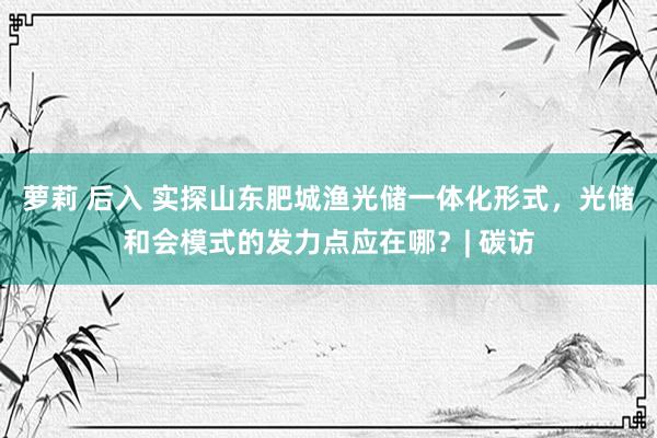 萝莉 后入 实探山东肥城渔光储一体化形式，光储和会模式的发力点应在哪？| 碳访