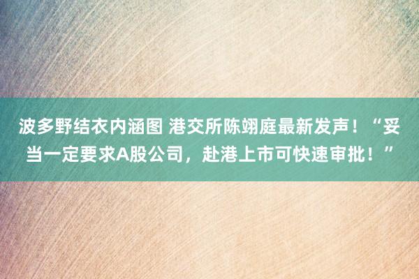 波多野结衣内涵图 港交所陈翊庭最新发声！“妥当一定要求A股公司，赴港上市可快速审批！”