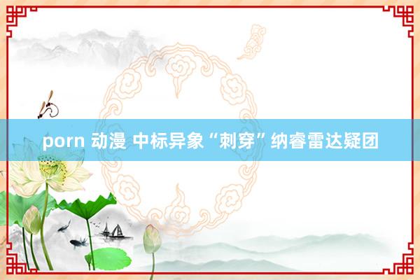 porn 动漫 中标异象“刺穿”纳睿雷达疑团
