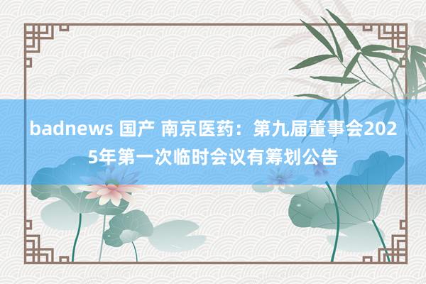 badnews 国产 南京医药：第九届董事会2025年第一次临时会议有筹划公告
