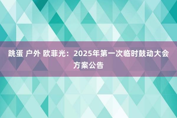 跳蛋 户外 欧菲光：2025年第一次临时鼓动大会方案公告